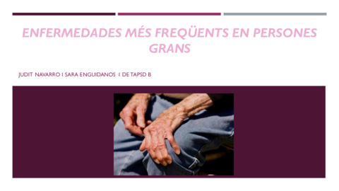 Presentacion-CNP.pdf