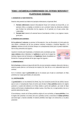 TEMA-1-DESARROLLO-EMBRIONARIO-DEL-SISTEMA-NERVIOSO-Y-PLASTICIDAD-CEREBRAL.pdf
