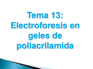 Tema13- Electroforesis en geles de poliacrilamida_SWAD.pdf