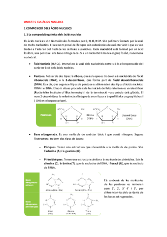 Unitat-5-Els-acids-nucleics.pdf