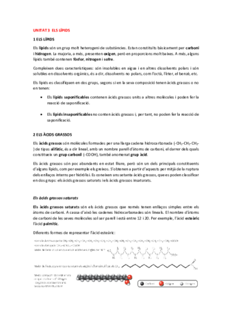 Unitat-3-Els-lipids.pdf