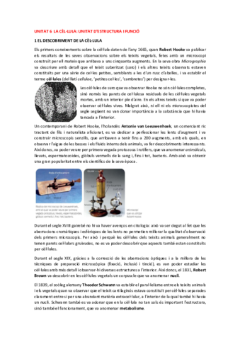 Unitat-6-La-cellula-unitat-destructura-i-funcio.pdf