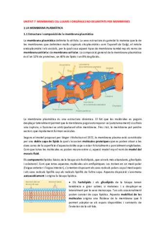 Unitat-7-Membranes-cellulars-i-organuls-no-delimitats-per-membrana.pdf