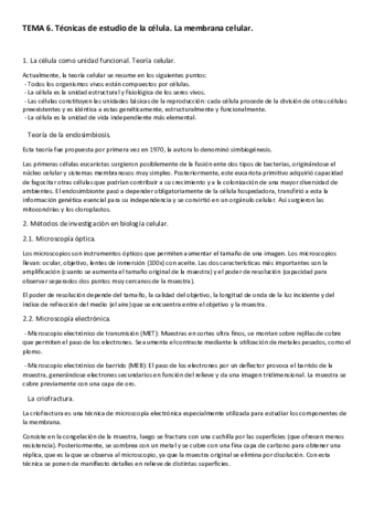 TEMA-6.pdf