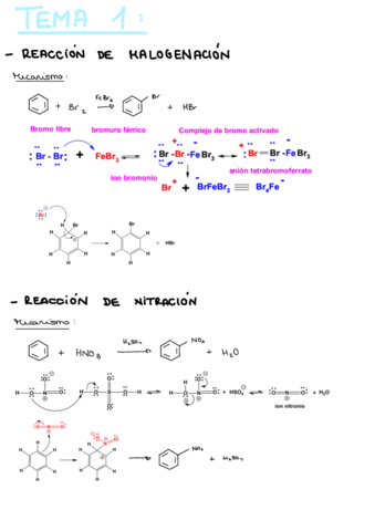 Mecanismos-.pdf