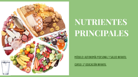 Nutrientes-Principales.pdf