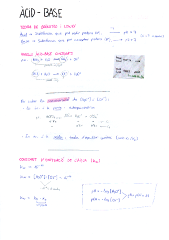 acid-base.pdf