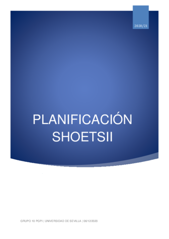 PLANIFICACIONSHOETSII.pdf