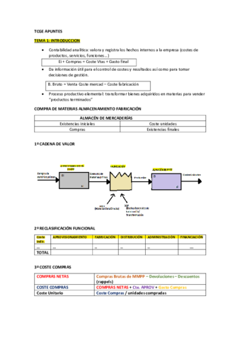 TCGE-APUNTES.pdf