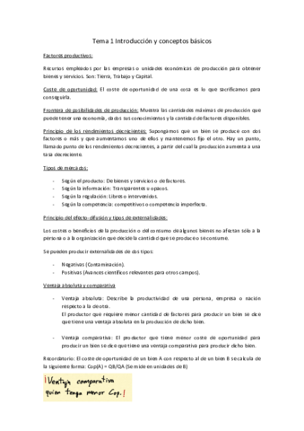 ApuntesTeoriaEconomiaGeneral.pdf