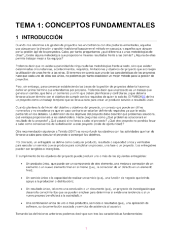 TEMARIO-COMPLETOproyectos.pdf