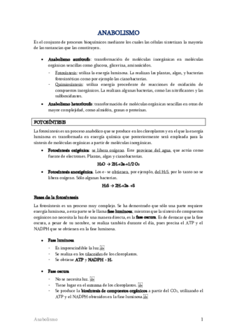 TEMA-13-Anabolismo.pdf
