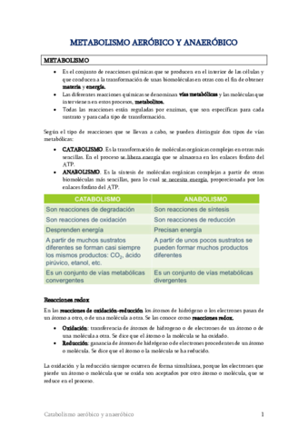TEMA-12-Metabolismo-aerobico-y-anaerobico.pdf