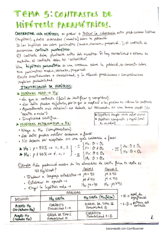 Temas-5-6-Estadistica-empresarial-II.pdf
