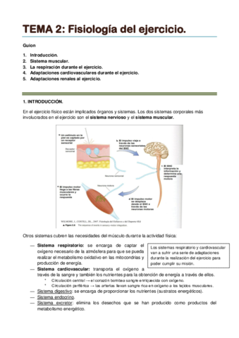 TEMA 2. Fisiología del ejercicio..pdf