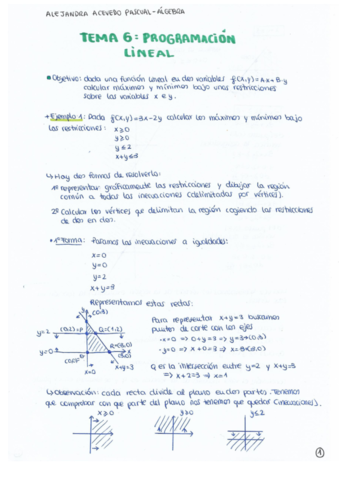 TEMA-6-ALGEBRA.pdf