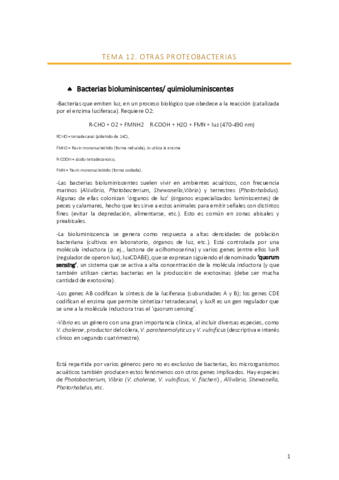 Tema-12.pdf