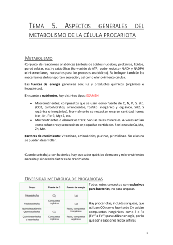 Tema-5.pdf