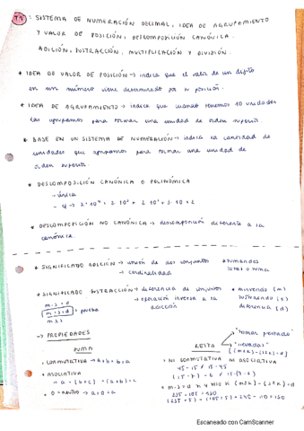 Tema-1-Sentido-Numerico.pdf