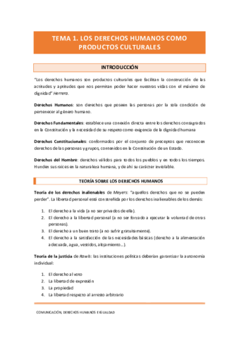 APUNTES-CDHI.pdf