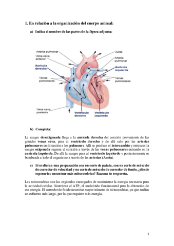 recopilacion-examenes-biologia.pdf