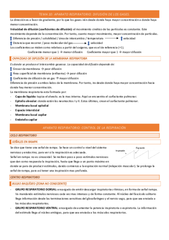 TEMA-10-COMPLETO.pdf