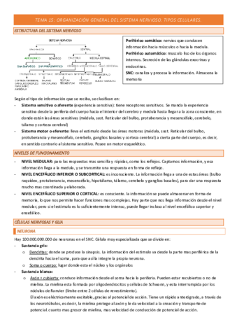 TEMA-15-COMPLETO.pdf