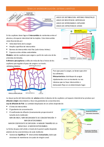 TEMA-14-COMPLETO.pdf