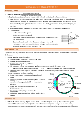 TEMA-18-COMPLETO.pdf
