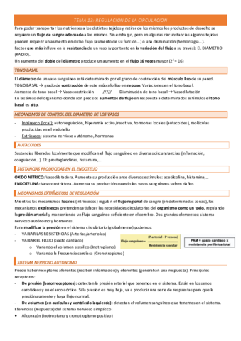 TEMA-13-COMPLETO.pdf