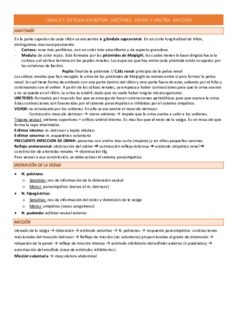 TEMA-37-COMPLETO.pdf