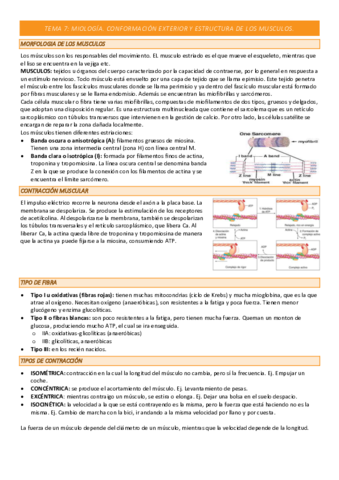 TEMA-7-COMPLETO.pdf