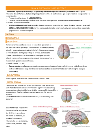 TEMA-4-COMPLETO.pdf