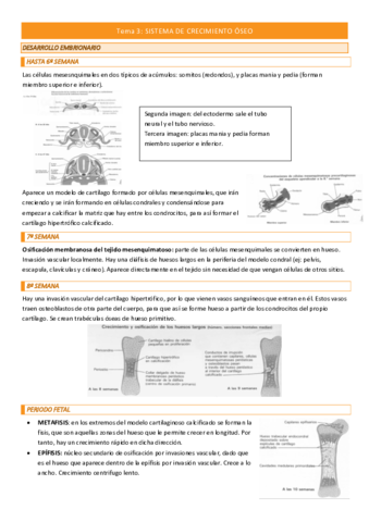 Tema-3-COMPLETO.pdf