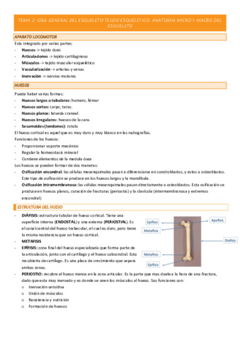 TEMA-2-COMPLETO.pdf