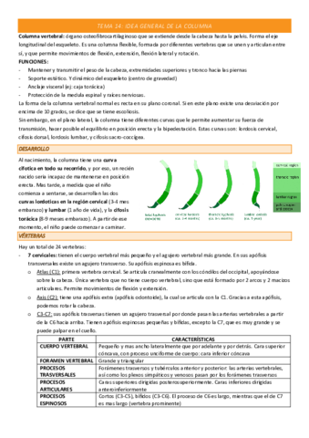 TEMA-14-COMPLETO.pdf