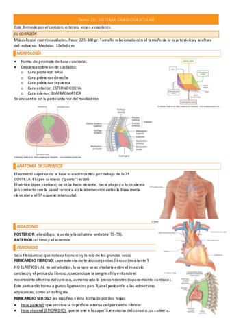 Tema-13-COMPLETO.pdf