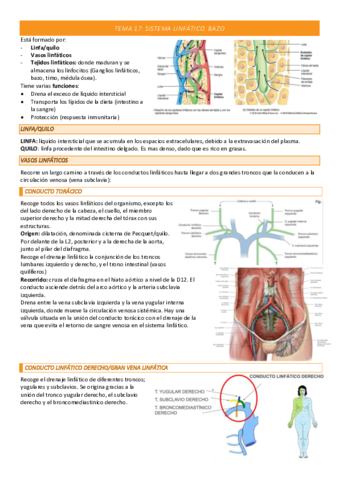 TEMA-17-COMPLETO.pdf