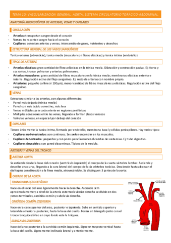 TEMA-10-COMPLETO.pdf