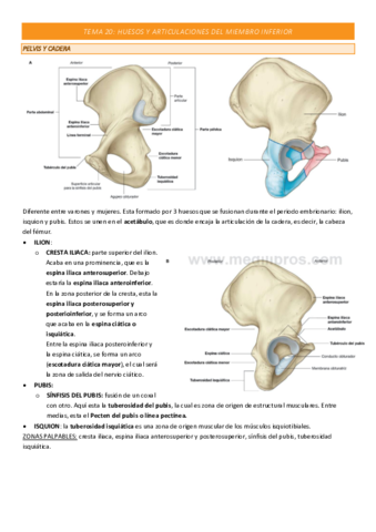 TEMA-20-COMPLETO.pdf