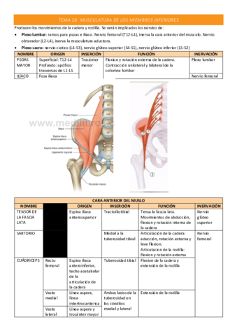 TEMA-28-COMPLETO.pdf
