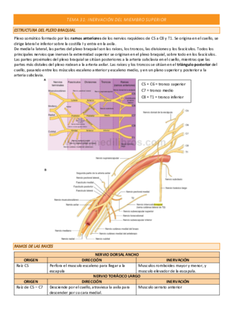 TEMA-31-COMPLETO.pdf