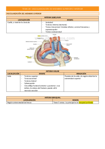 TEMA-34-COMPLETO.pdf