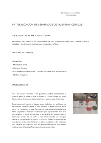 PNT-6-Blanca-Lores.pdf