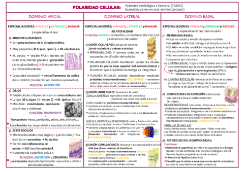 TABLAS-RESUMEN.pdf