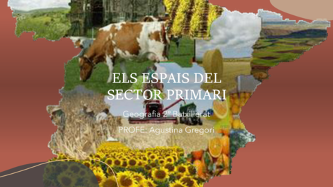 Tema-5.pdf