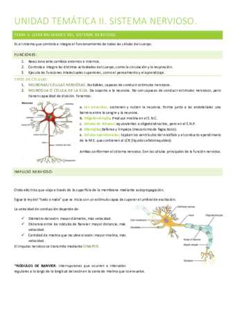 UNIDAD-TEMATICA-II.pdf