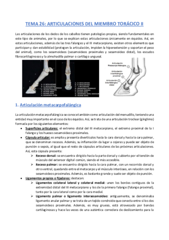 TEMA-26-Anatomia.pdf