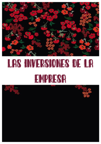Las-inversiones-de-la-empresa.pdf