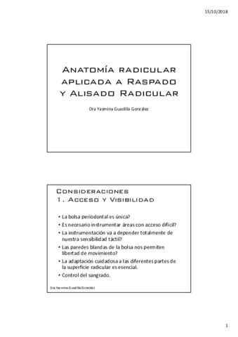 PresentacionanatomiaRAR.pdf
